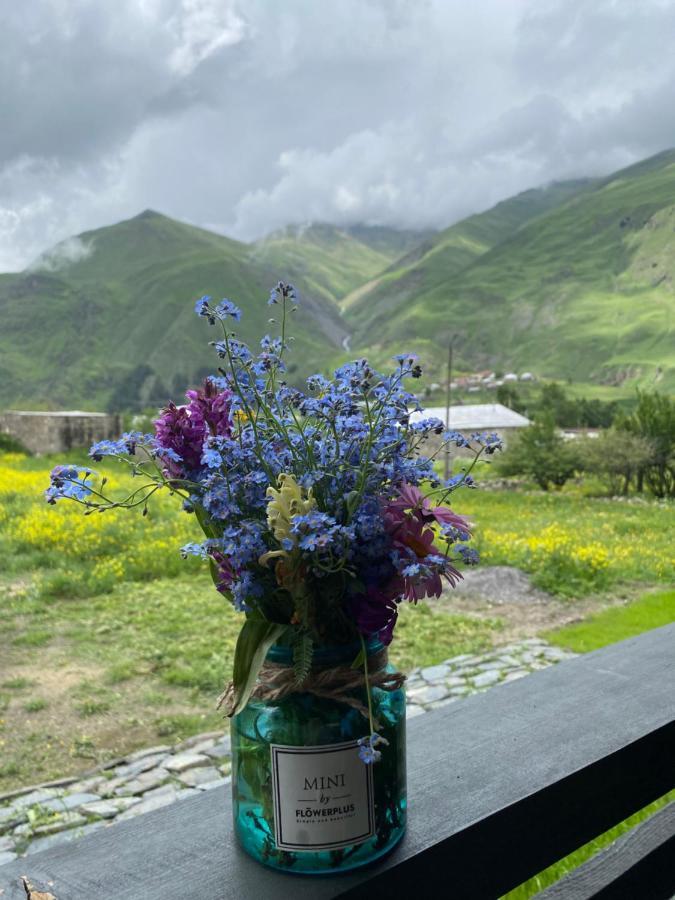 Cottage Kazbegi Sioni Экстерьер фото