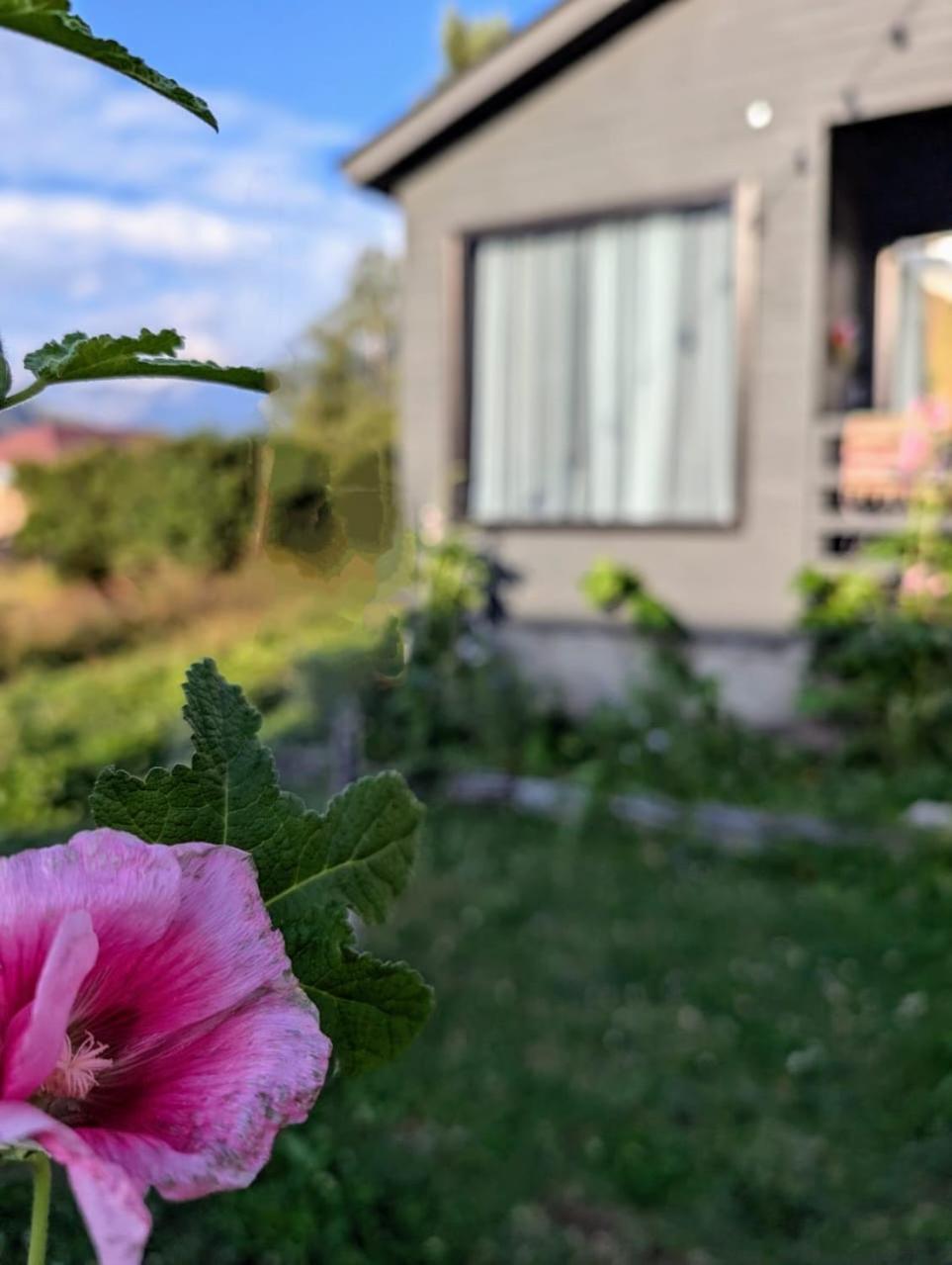 Cottage Kazbegi Sioni Экстерьер фото